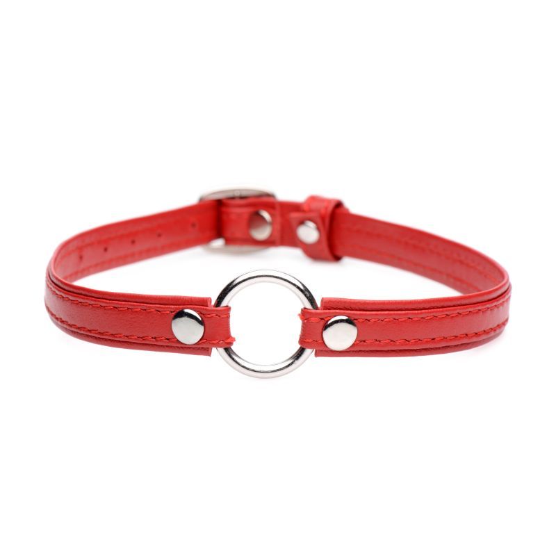 Master Series Fiery Pet Leather Choker W Silver Ring Red