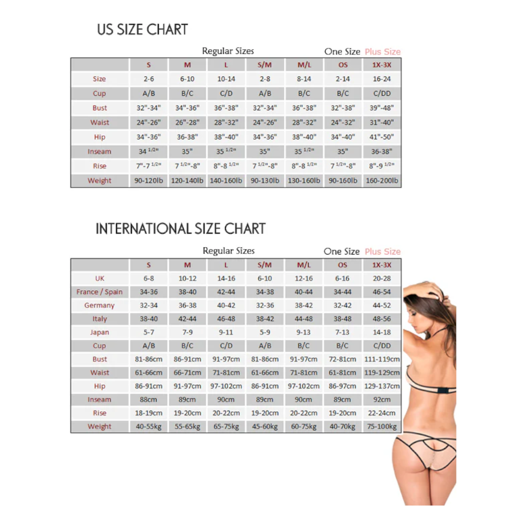 Rene Rofe Sexy Flirtation Lace Up Back Panty Black - Black - Medium/Large