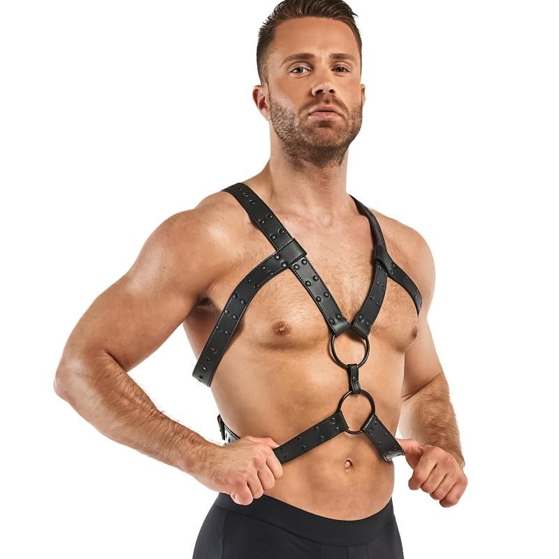 Bedroom Fantasies Rocco Bondage Harness Black